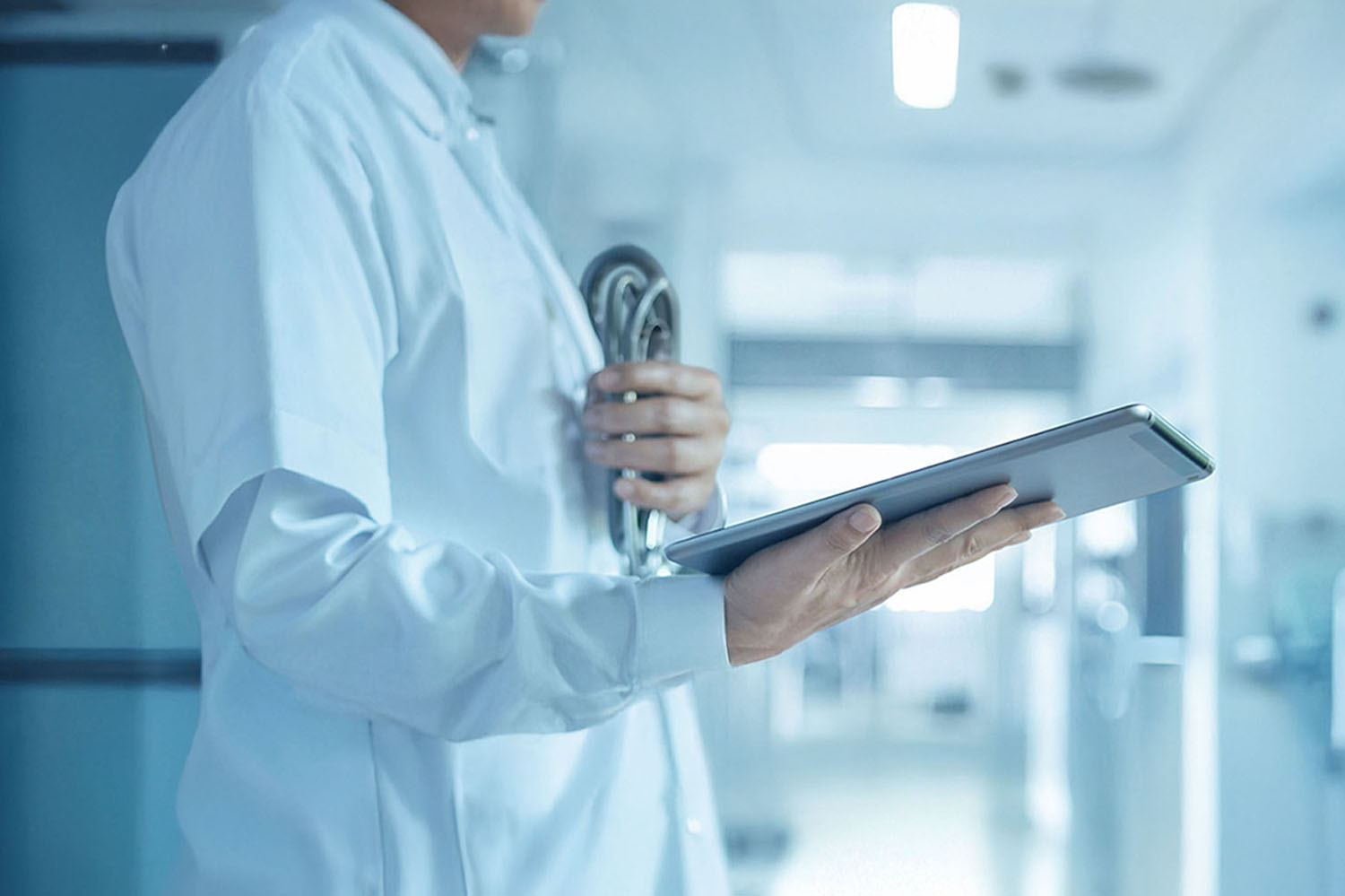 Especialidades-Segovia